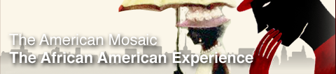 American Mosaic Databases